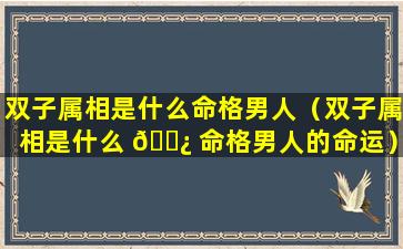 双子属相是什么命格男人（双子属相是什么 🌿 命格男人的命运）